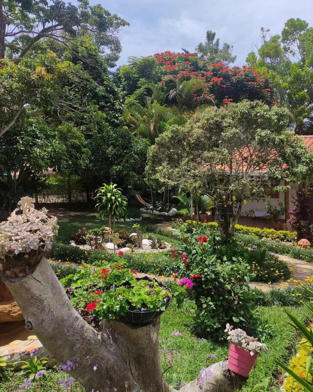 Hotel Boutique Santa Clara Mesa De Los Santos Лос-Сантос Экстерьер фото